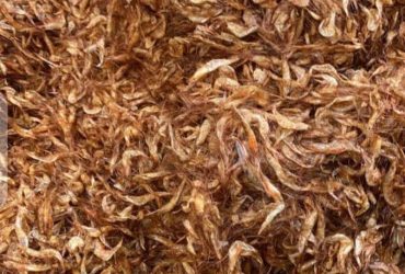 Oron Crayfish