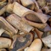 Processed Cowskin pack(100  pieces)
