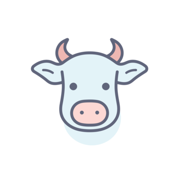Dried Meat